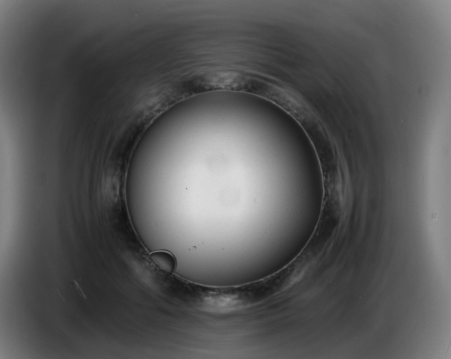 X0000086720602200704201628