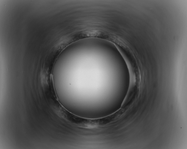 X0000086720604200704201628