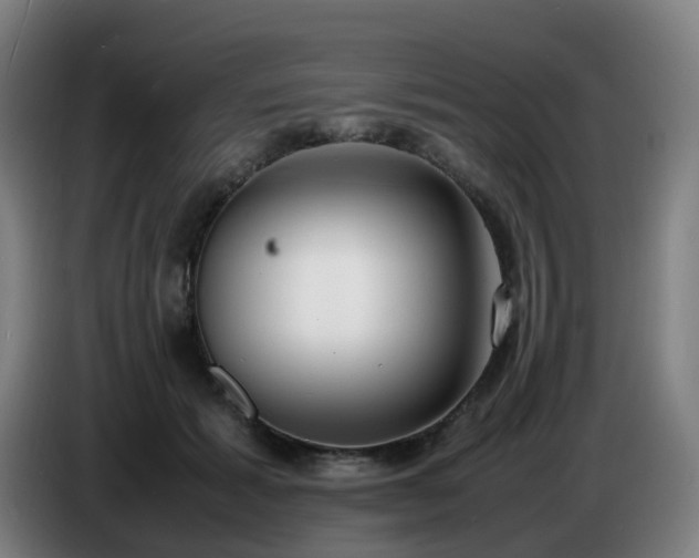 X0000086720605200704201628