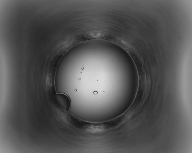 X0000086720606200704201628