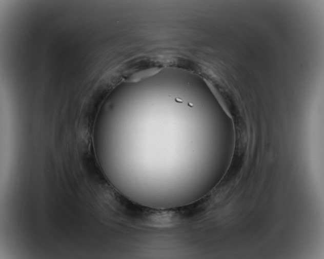 X0000086720609200704201628
