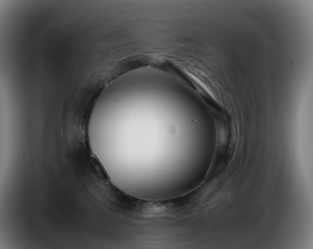 X0000086720613200704201628