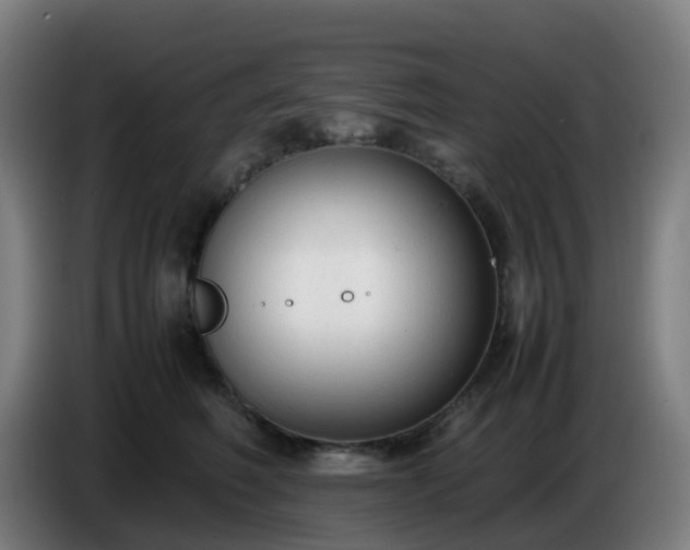 X0000086720614200704201628