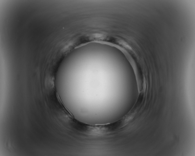 X0000086720621200704201628