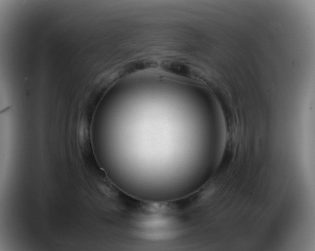 X0000086720623200704201628
