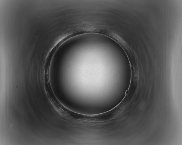 X0000086720626200704201627