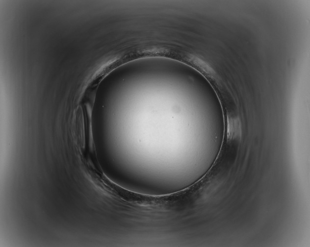 X0000086720627200704201627