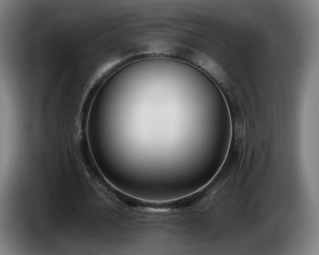 X0000086720628200704201627