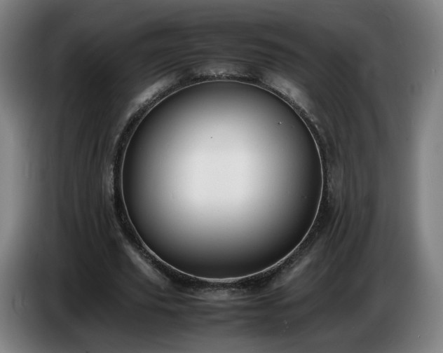 X0000086720629200704201627