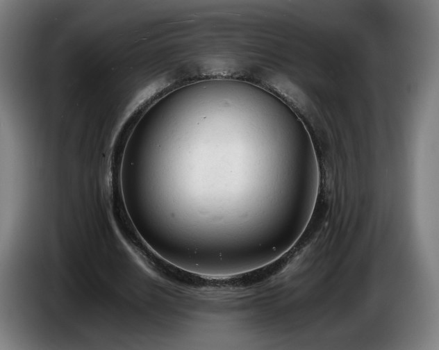 X0000086720630200704201627