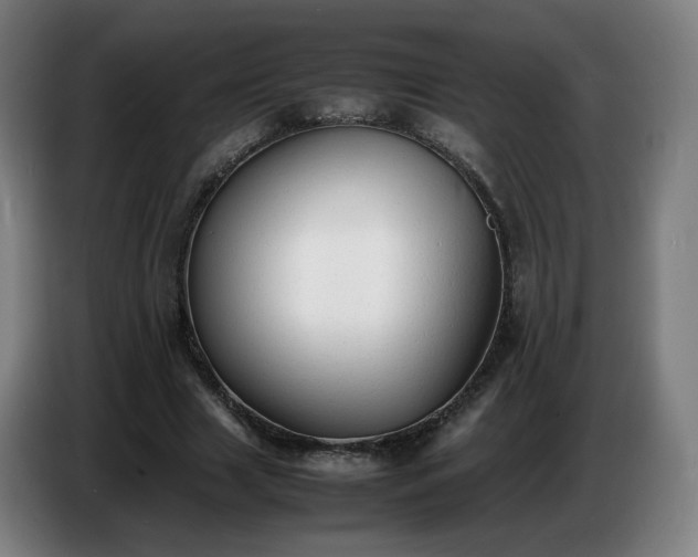 X0000086720633200704201627