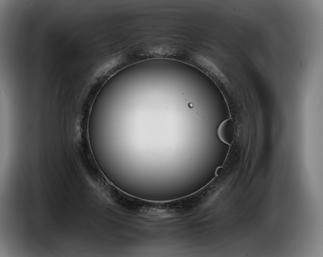 X0000086720635200704201627