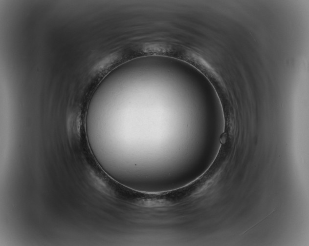 X0000086720637200704201627