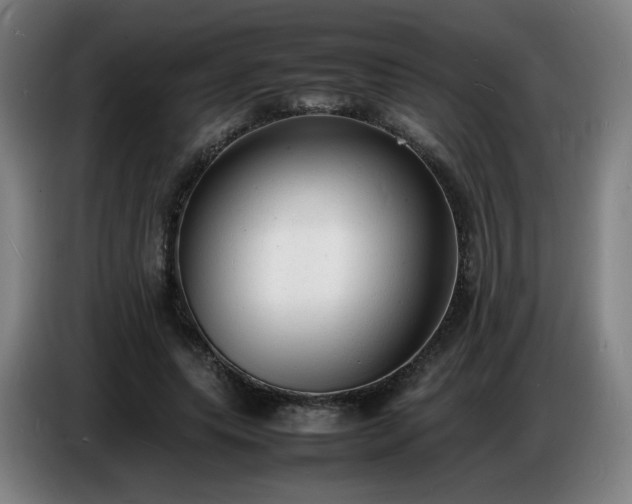 X0000086720639200704201627