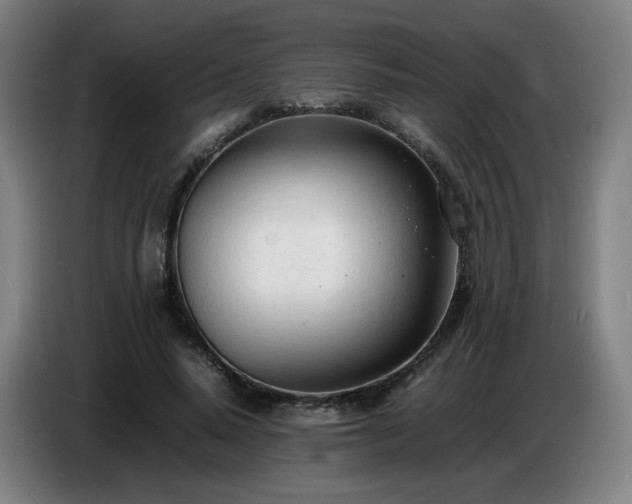 X0000086720640200704201627