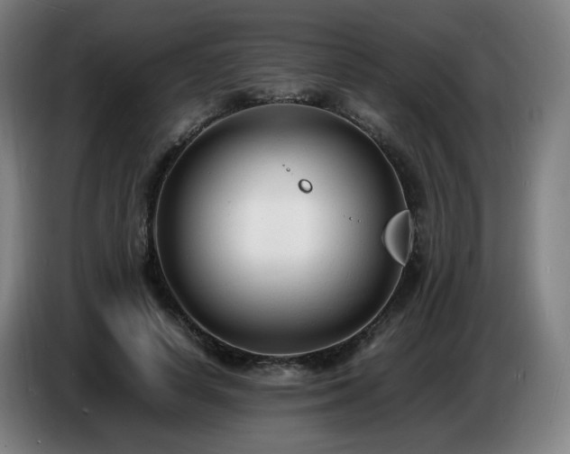 X0000086720642200704201627