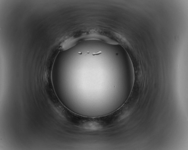 X0000086720643200704201627