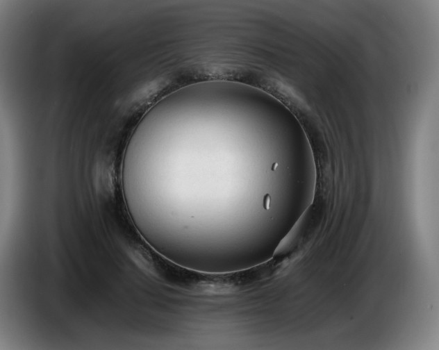 X0000086720644200704201627