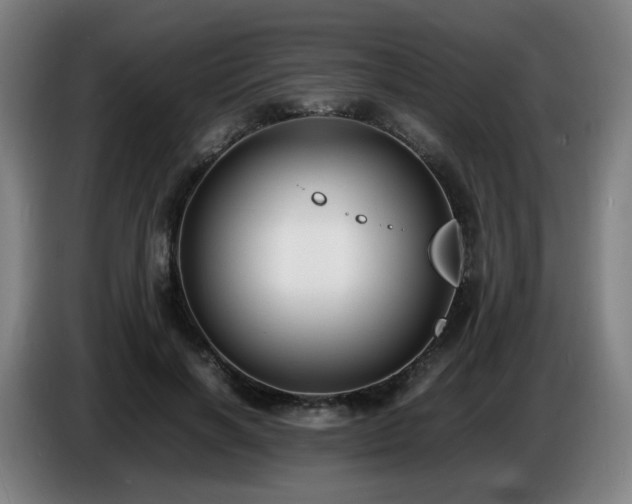 X0000086720646200704201627