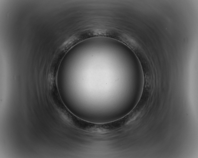 X0000086720648200704201627