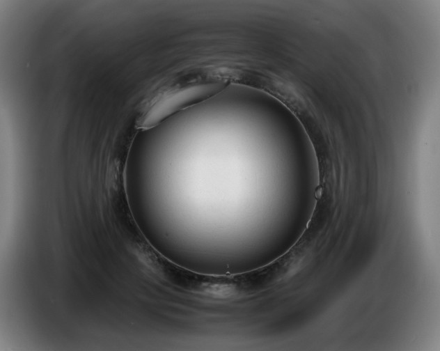 X0000086720649200704201627