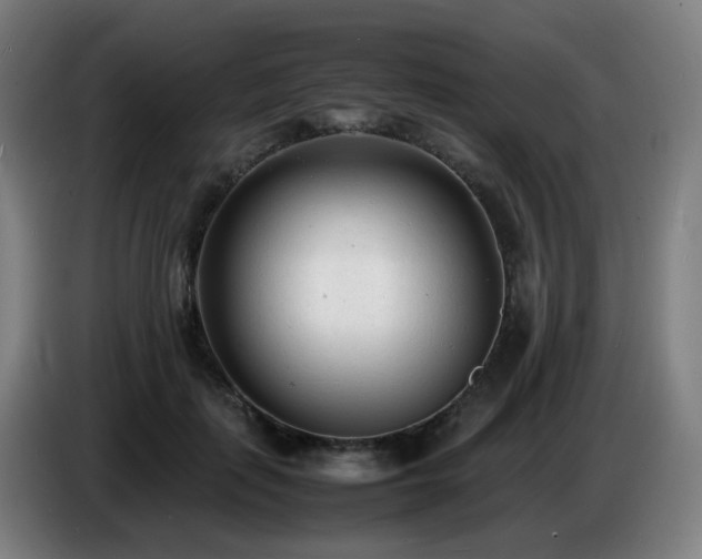 X0000086720651200704201627