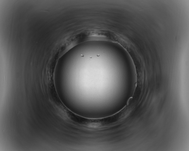 X0000086720653200704201627