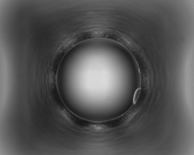 X0000086720654200704201627