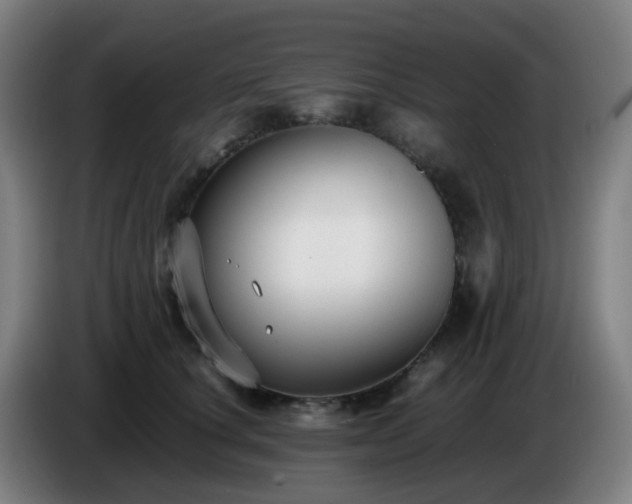 X0000086720660200704201627