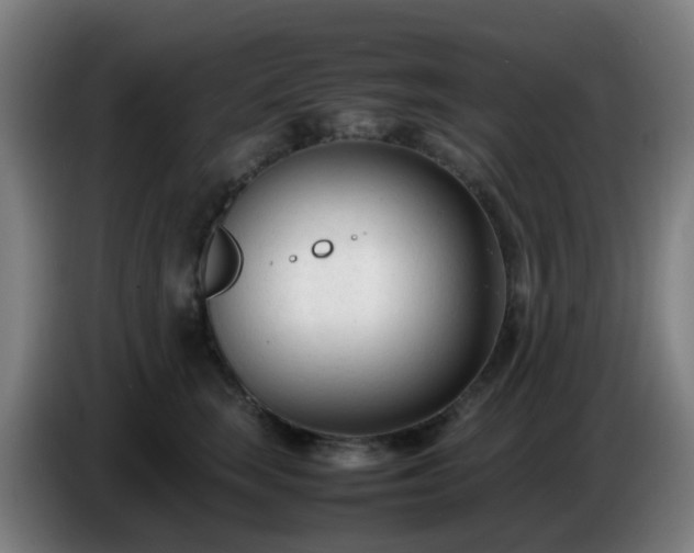 X0000086720663200704201627
