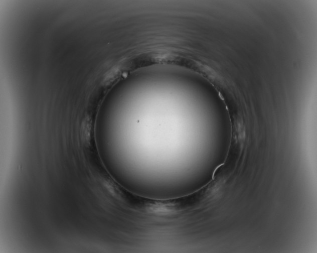 X0000086720664200704201627