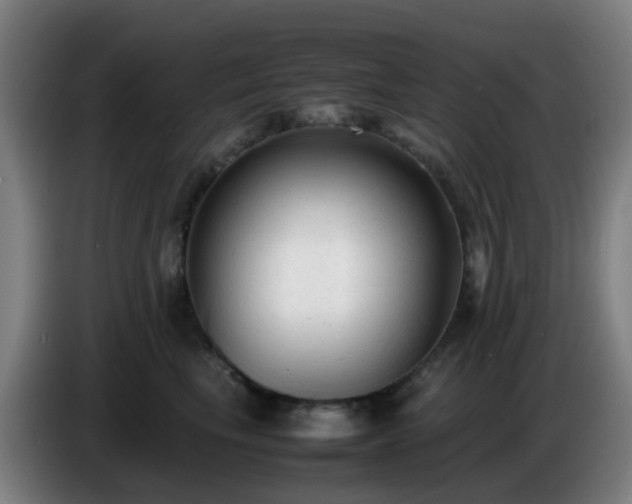 X0000086720665200704201627