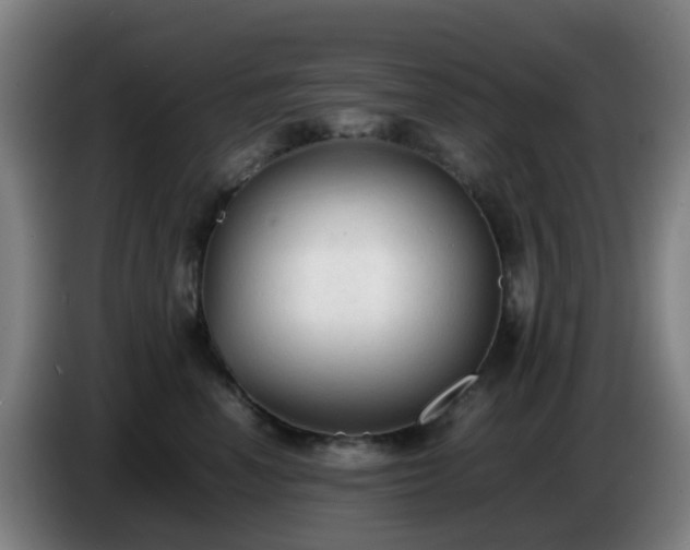 X0000086720666200704201627