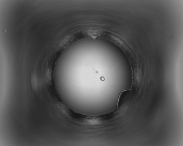 X0000086720667200704201627