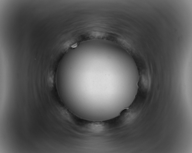 X0000086720668200704201627