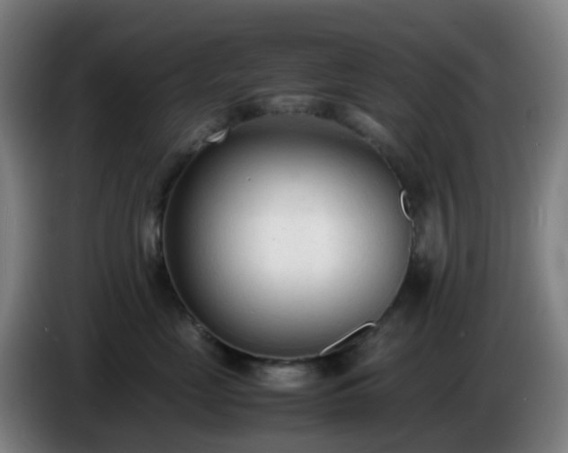 X0000086720669200704201627