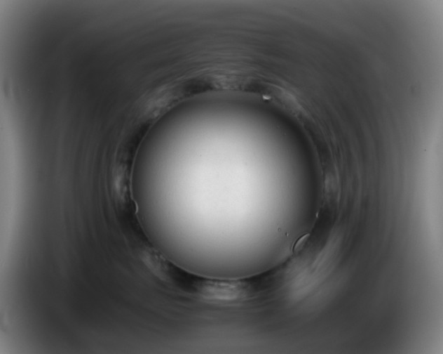X0000086720671200704201628