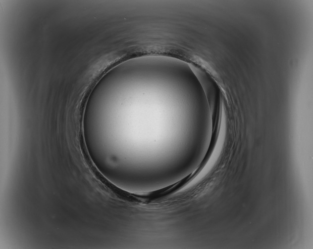 X0000086720673200704201627