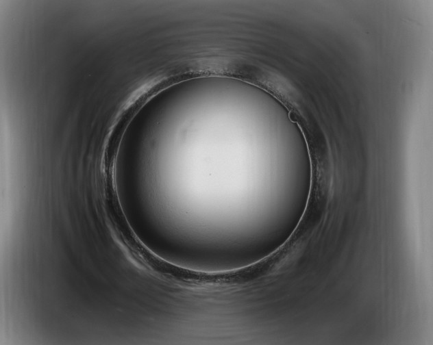 X0000086720674200704201627