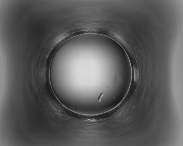 X0000086720675200704201627
