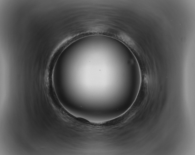 X0000086720676200704201627