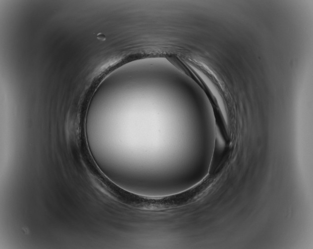 X0000086720677200704201627
