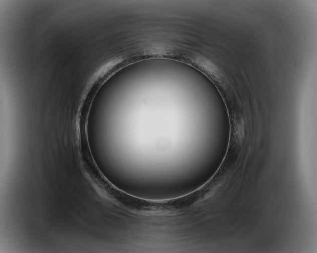 X0000086720678200704201627
