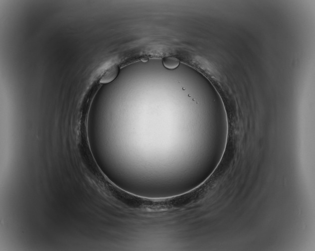 X0000086720679200704201627