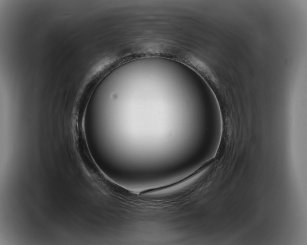 X0000086720680200704201627