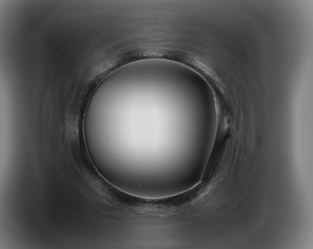 X0000086720681200704201627