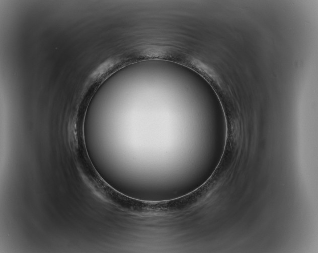 X0000086720682200704201627