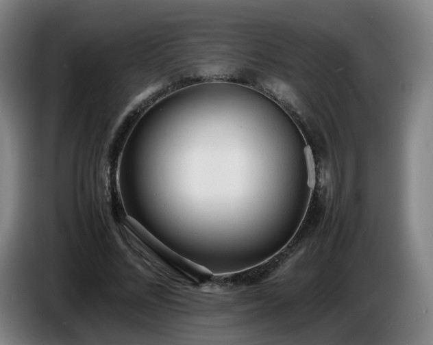 X0000086720684200704201627