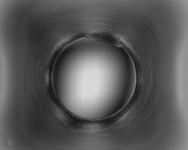 X0000086720685200704201627