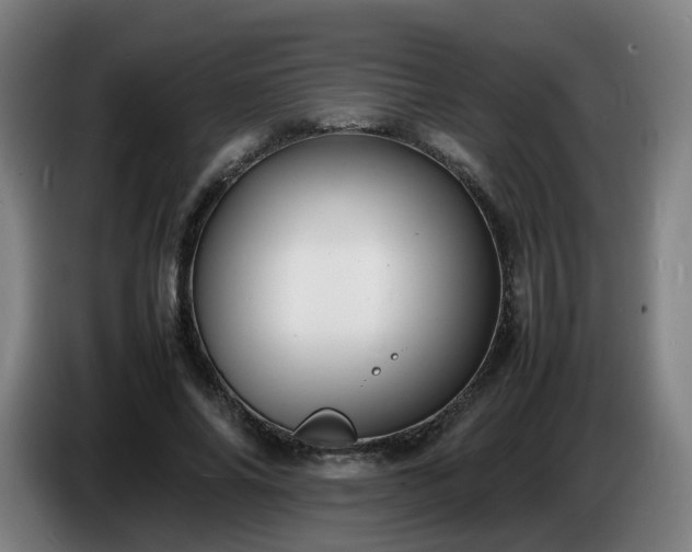 X0000086720686200704201627